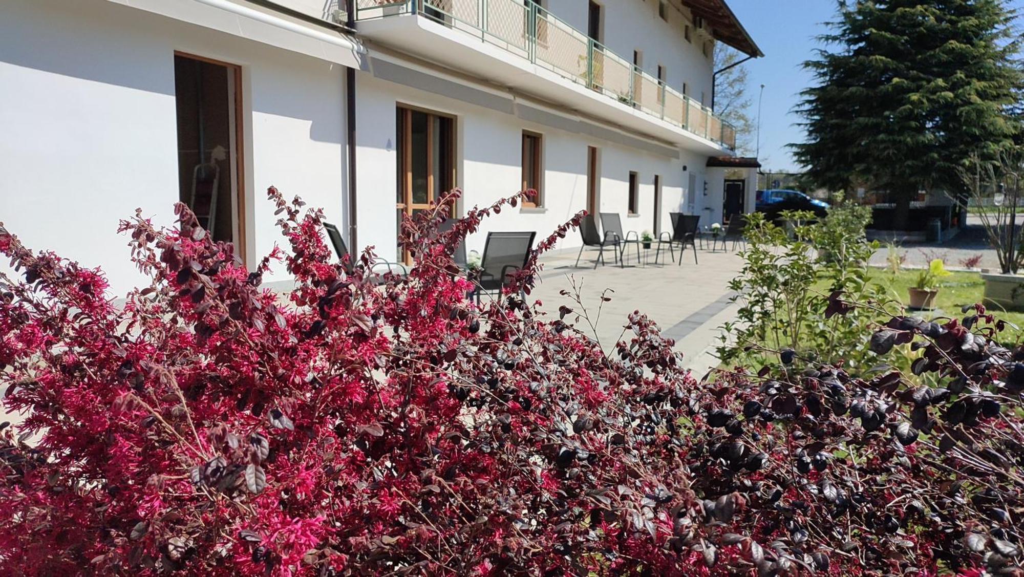 Bed and Breakfast Nautica Tarello - Casa Ena Beb Вивероне Экстерьер фото